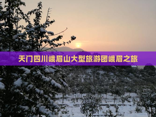 天门去四川峨眉山大型旅游团