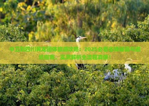 中卫到四川黄龙团体旅游