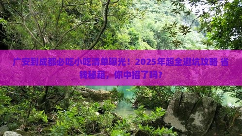 广安到四川成都旅游小吃