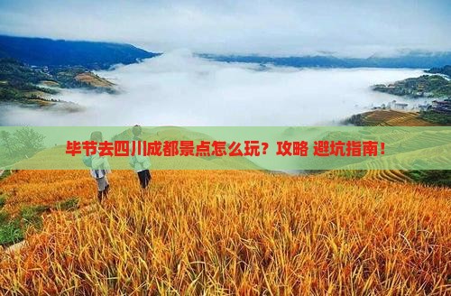 毕节去四川成都景点