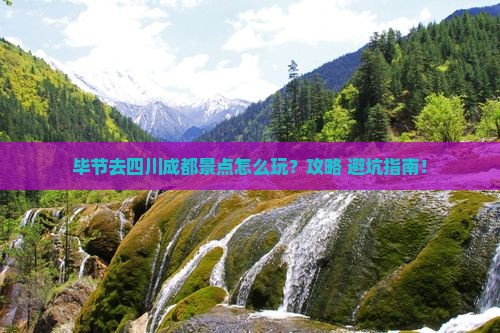 毕节去四川成都景点