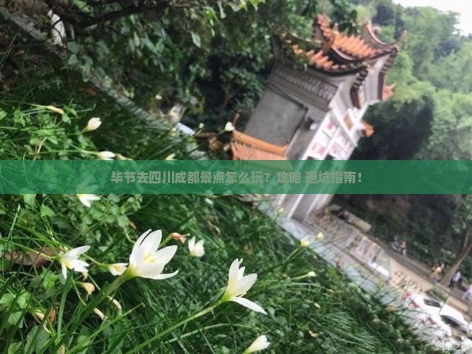 毕节去四川成都景点