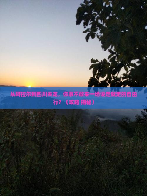阿拉尔到四川黄龙自由行