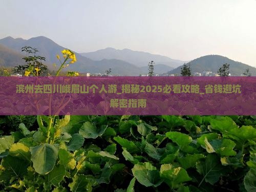 滨州去四川峨眉山个人游