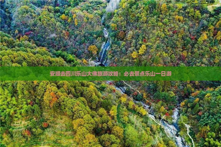 安顺去四川乐山大佛一日