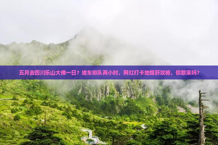 五月去四川乐山大佛一日