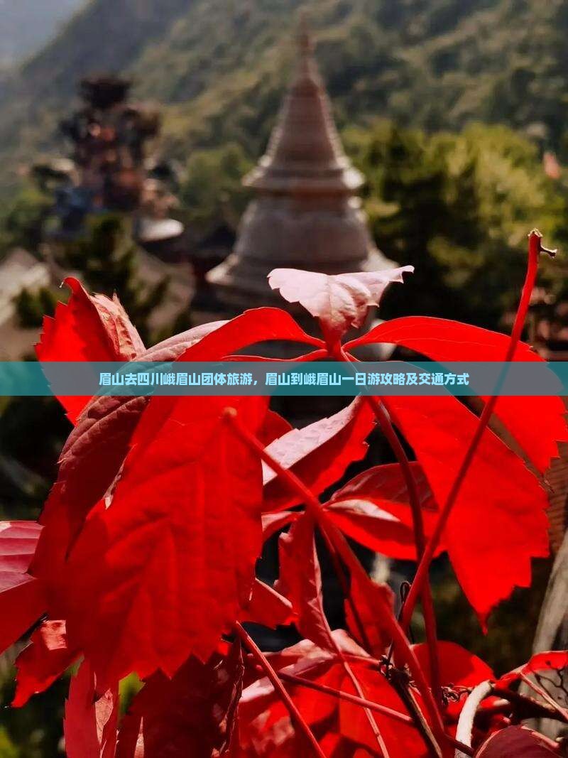 眉山去四川峨眉山团体旅游