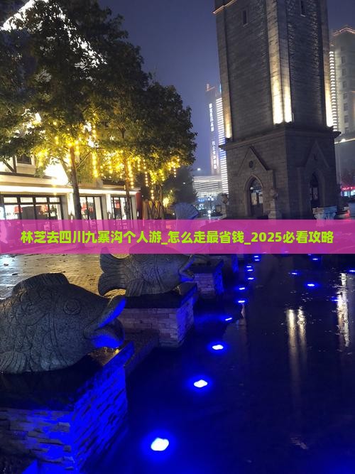 林芝去四川九寨沟个人游