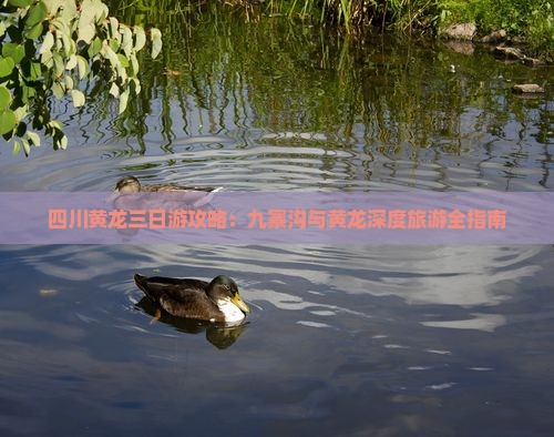 襄樊到四川黄龙三日游 襄樊到四川黄龙三日游
