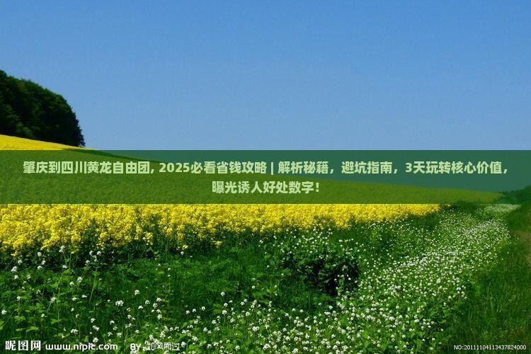 肇庆到四川黄龙自由团