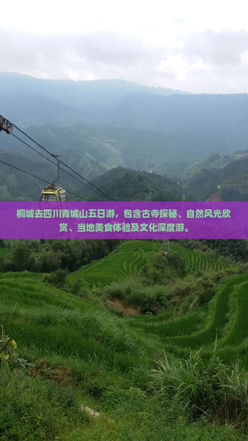 桐城去四川青城山五日游