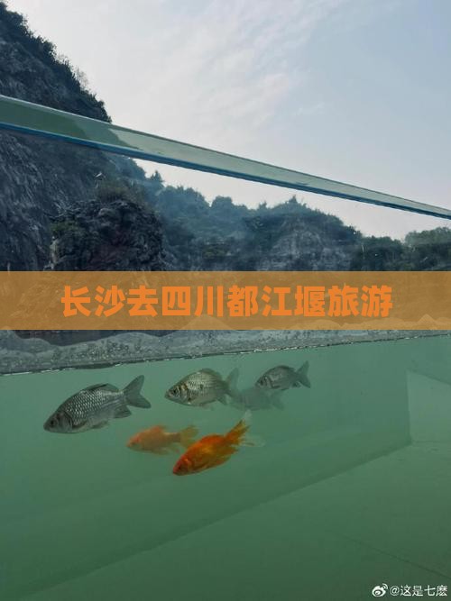 长沙去四川都江堰旅游