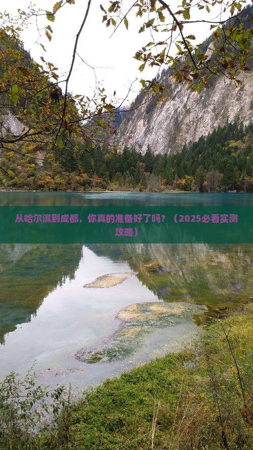 哈尔滨去四川成都攻略