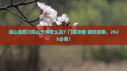 凉山去四川乐山大佛门票