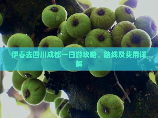 伊春去四川成都一日