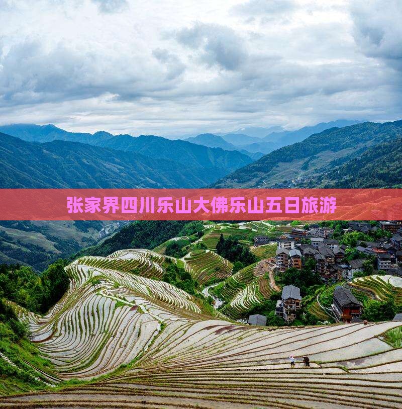 张家界到四川乐山大佛五日游