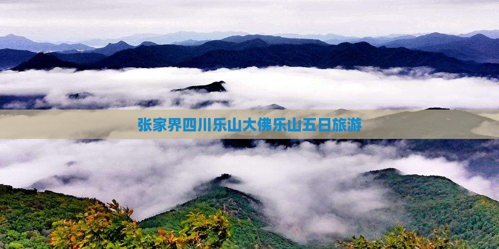 张家界到四川乐山大佛五日游