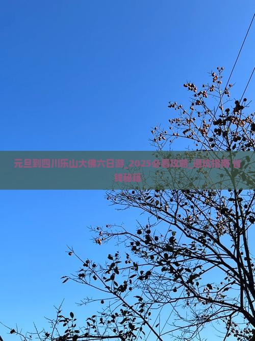 元旦到四川乐山大佛六日游