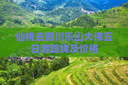 仙桃去四川乐山大佛五日游