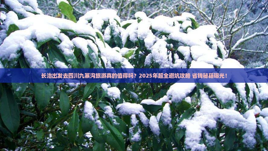 长治去四川九寨沟旅游