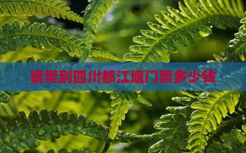 襄樊到四川都江堰门票