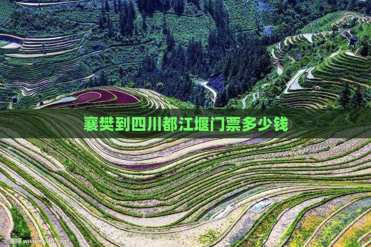 襄樊到四川都江堰门票