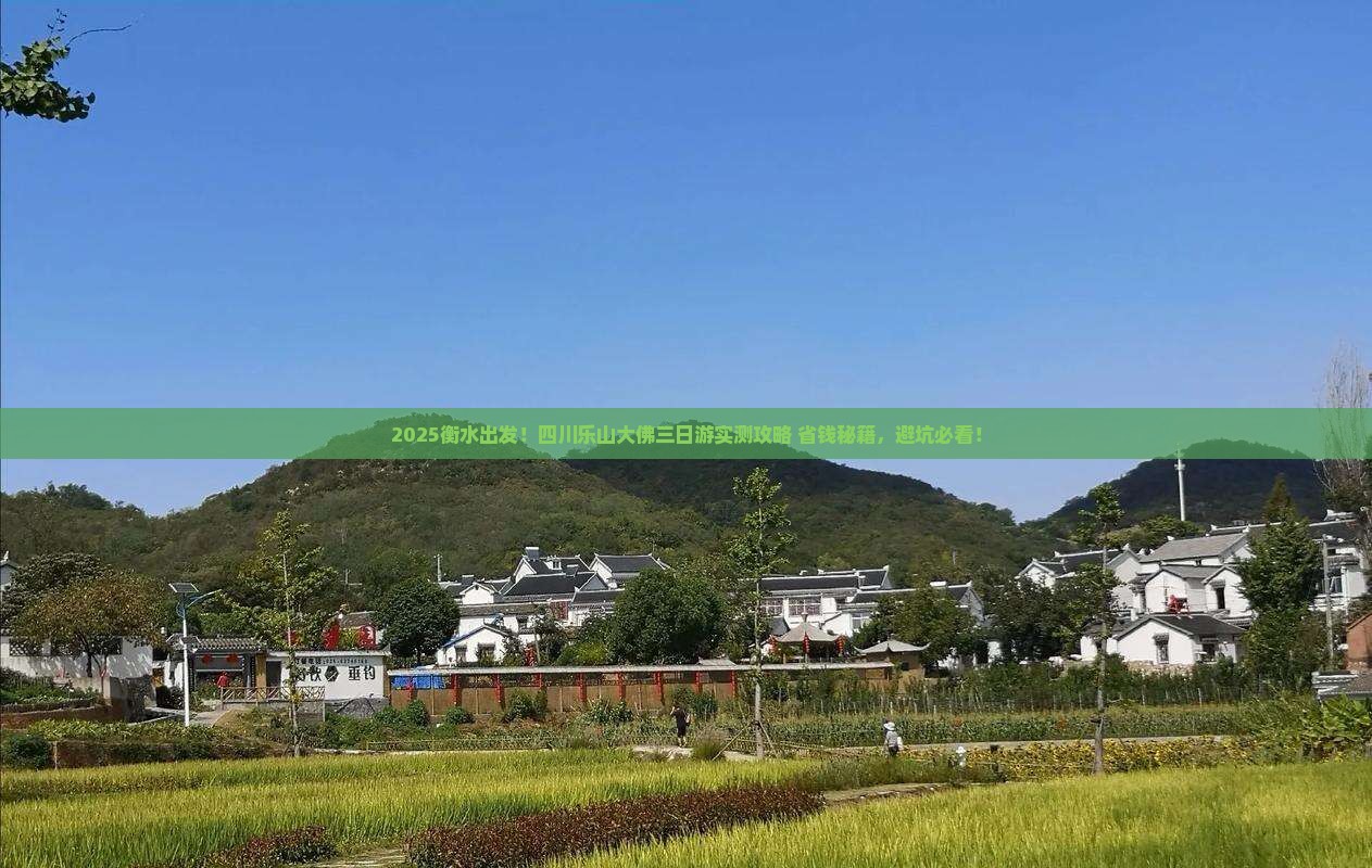 衡水到四川乐山大佛三日游