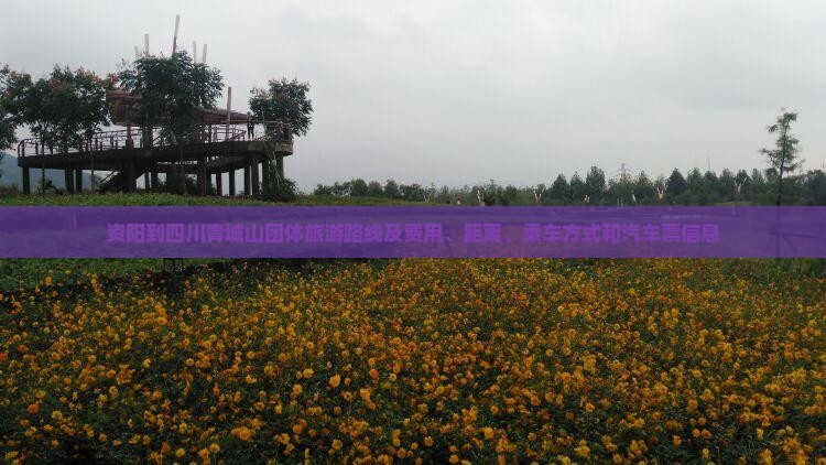 资阳到四川青城山团体旅游