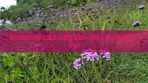 镇江到四川都江堰五日游