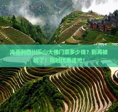 海西到四川乐山大佛门票