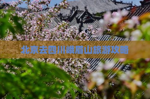 北京去四川峨眉山景点
