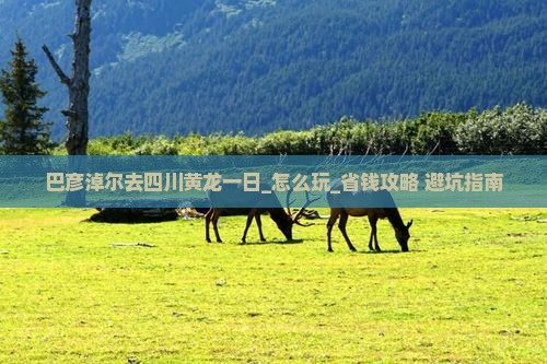 巴彦淖尔去四川黄龙一日