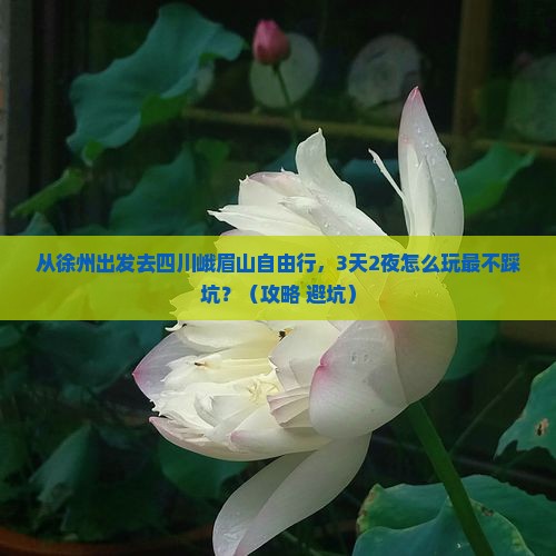 徐州去四川峨眉山自由行