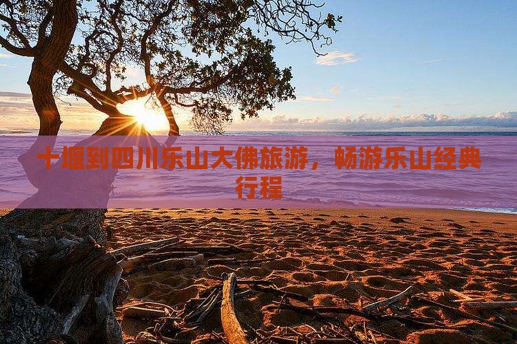 十堰到四川乐山大佛旅行社