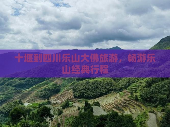 十堰到四川乐山大佛旅行社