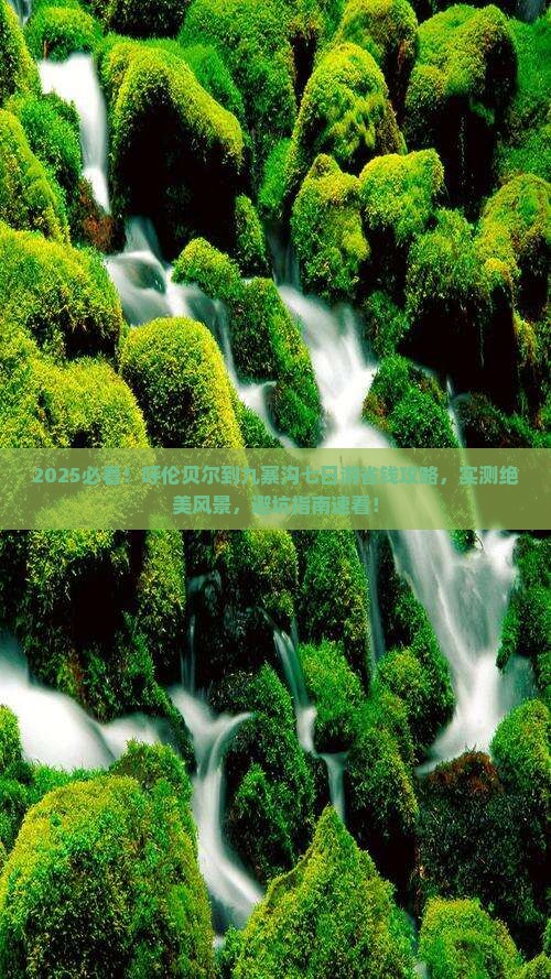 呼伦贝尔到四川九寨沟七日游