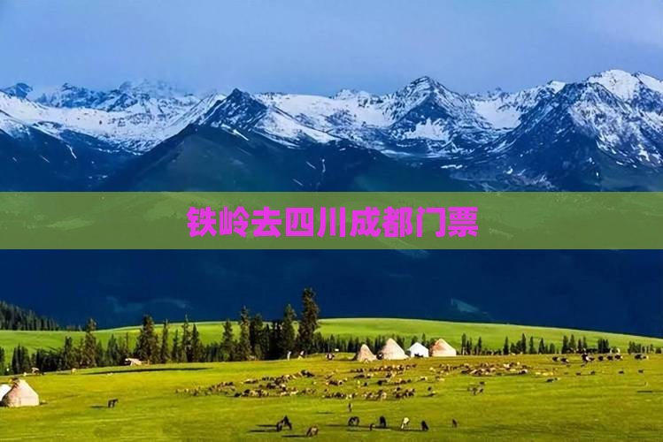 铁岭去四川成都门票