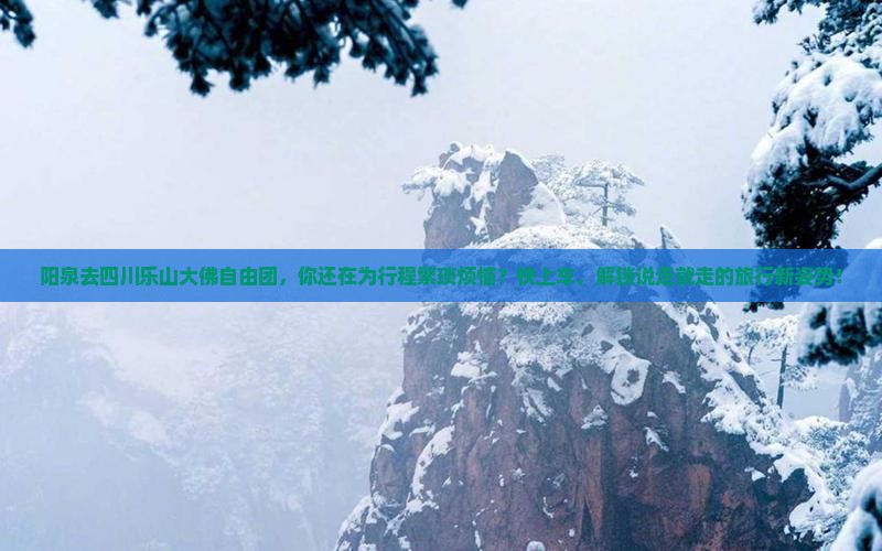 阳泉去四川乐山大佛自由团