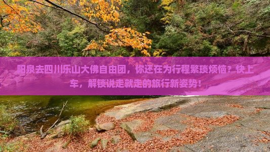 阳泉去四川乐山大佛自由团