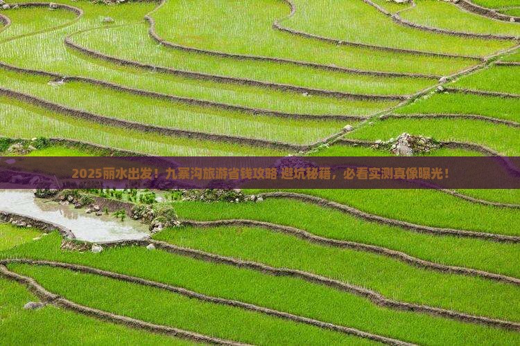 丽水去四川九寨沟旅游