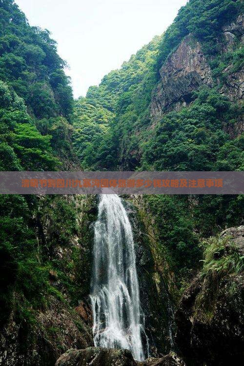 清明节到四川九寨沟团体旅游