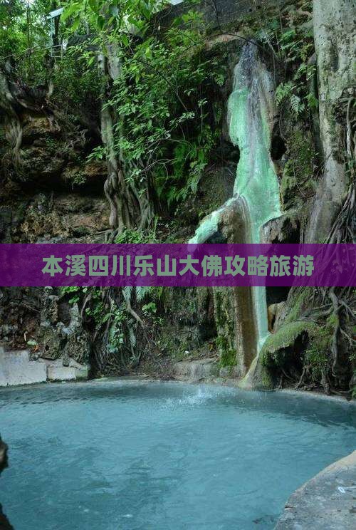 本溪去四川乐山大佛旅行社