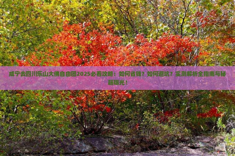 咸宁去四川乐山大佛自由团