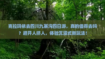 克拉玛依去四川九寨沟四日游