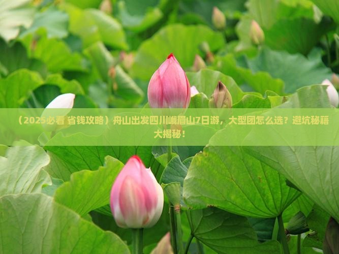 舟山到四川峨眉山大型旅游团