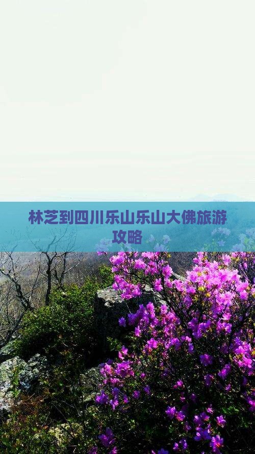 林芝到四川乐山大佛旅游