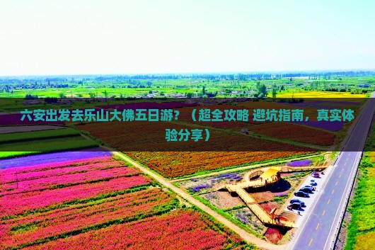 六安去四川乐山大佛五日游