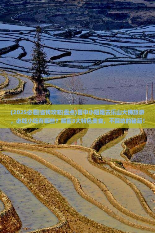 晋中去四川乐山大佛旅游小吃