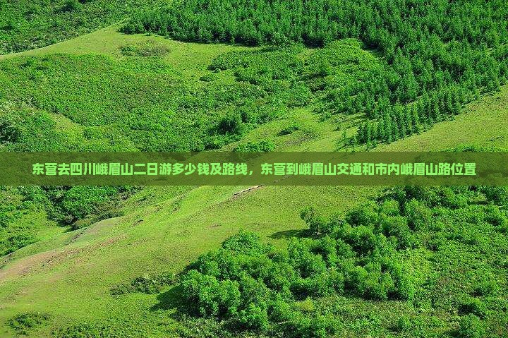 东营去四川峨眉山二日游