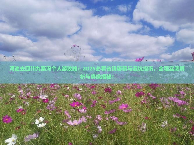 河池去四川九寨沟个人游